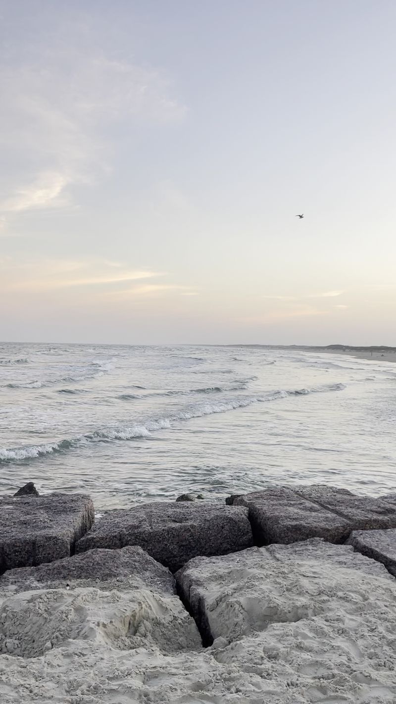 Mustang Island State Park, Port Aransas