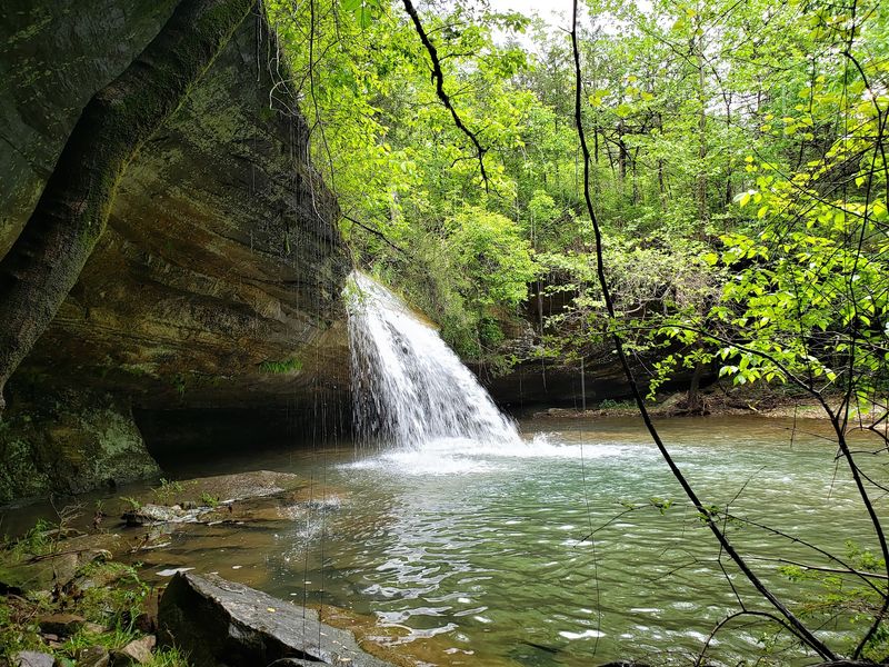 Hogscald Hollow