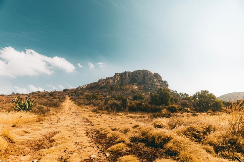Where Rattlesnakes Are Common