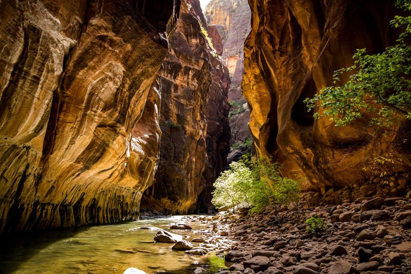 Keep Summer Hikes Short Near Canyon Walls