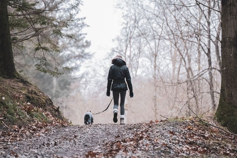 Keep Your Dog Leashed