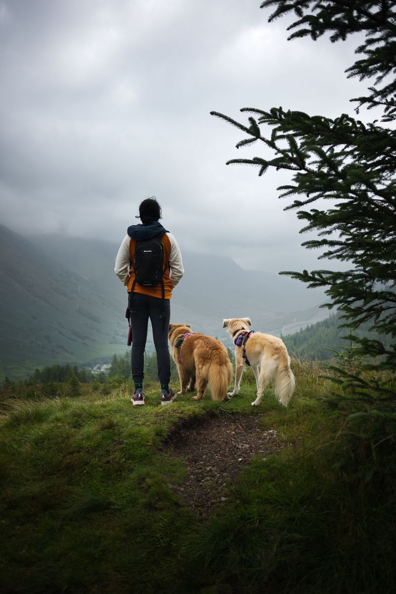Keep Your Dog Between You And Wildlife
