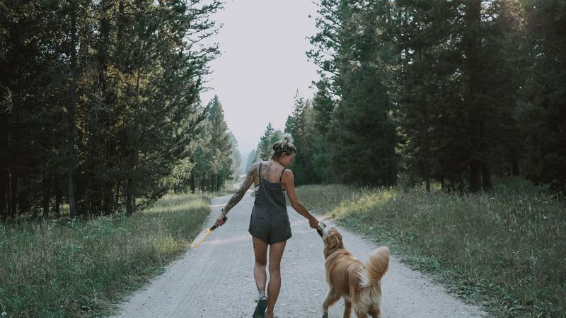 Make Evening Walks More Wildlife-Aware