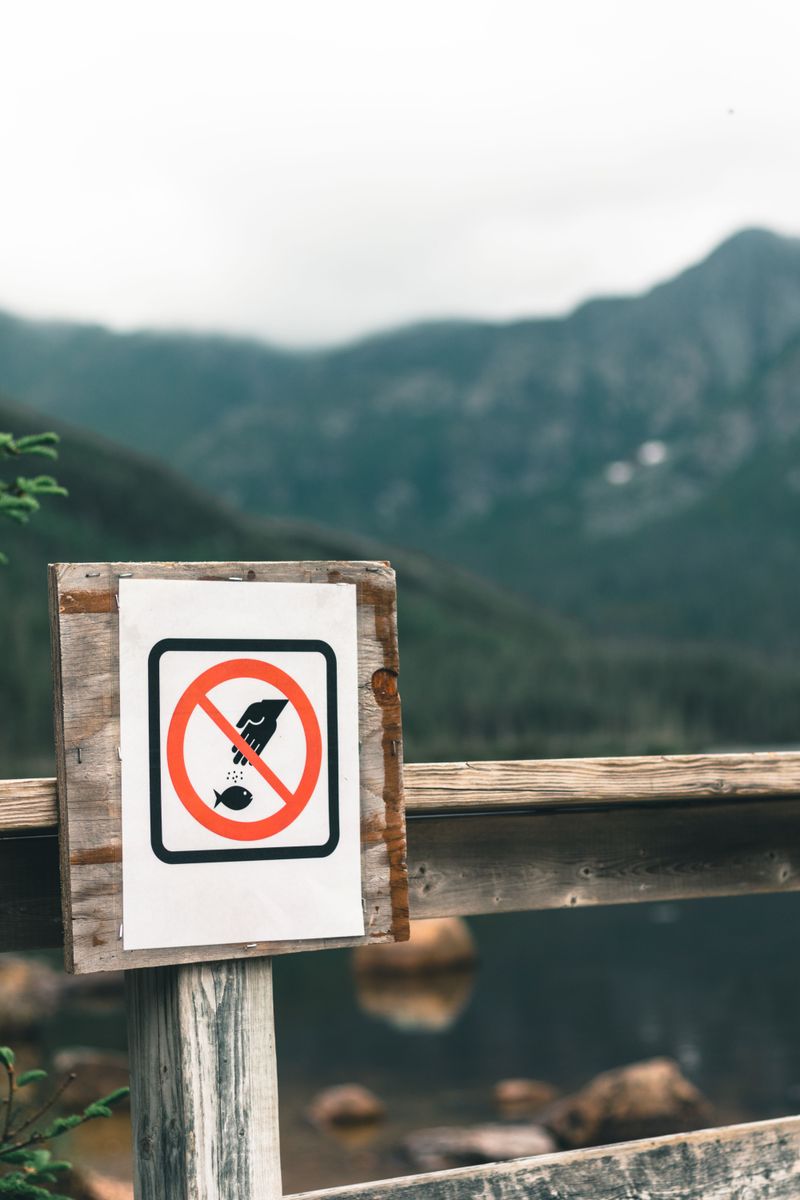 Dogs Are Not Allowed on Adirondack Mountain Reserve Property
