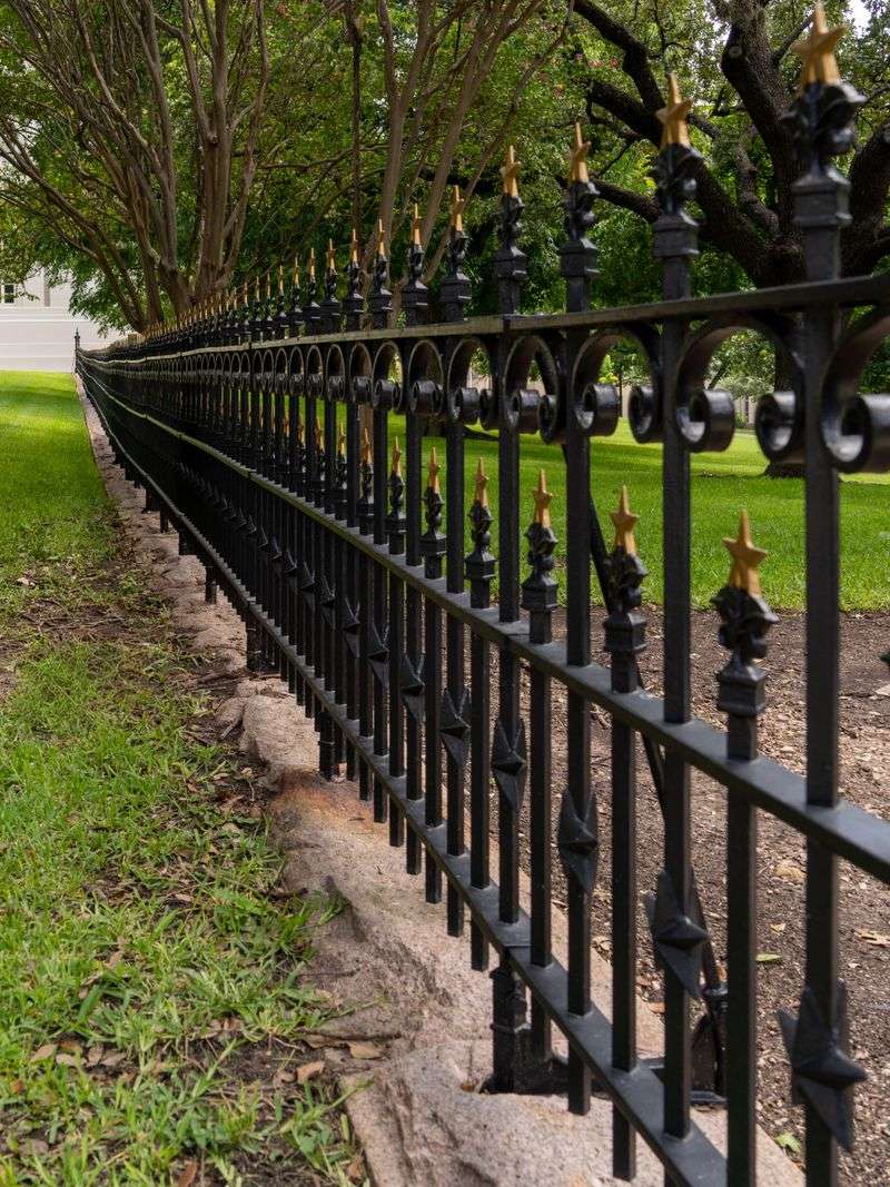 Check Your Yard Before Letting Your Dog Roam