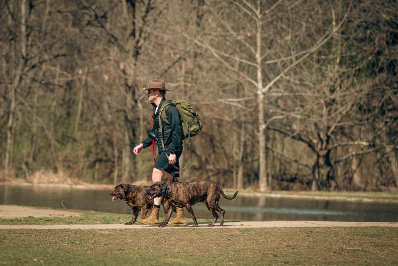 Keep Your Dog Leashed