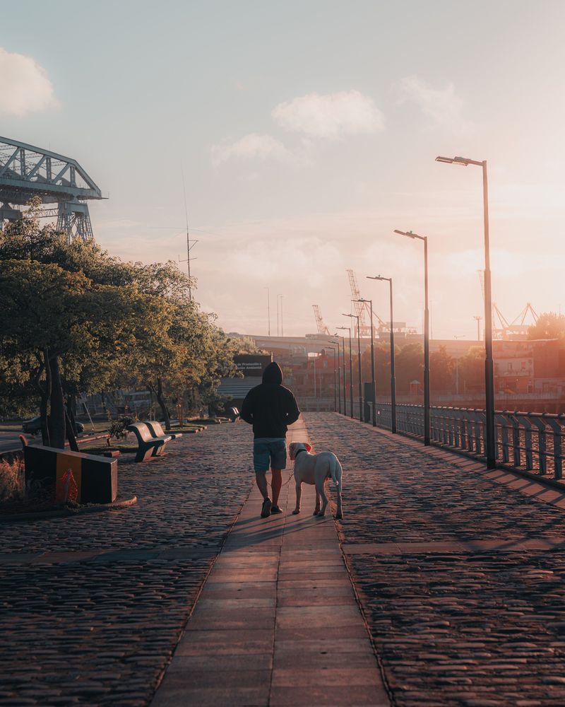 Choose Cooler Walking Times