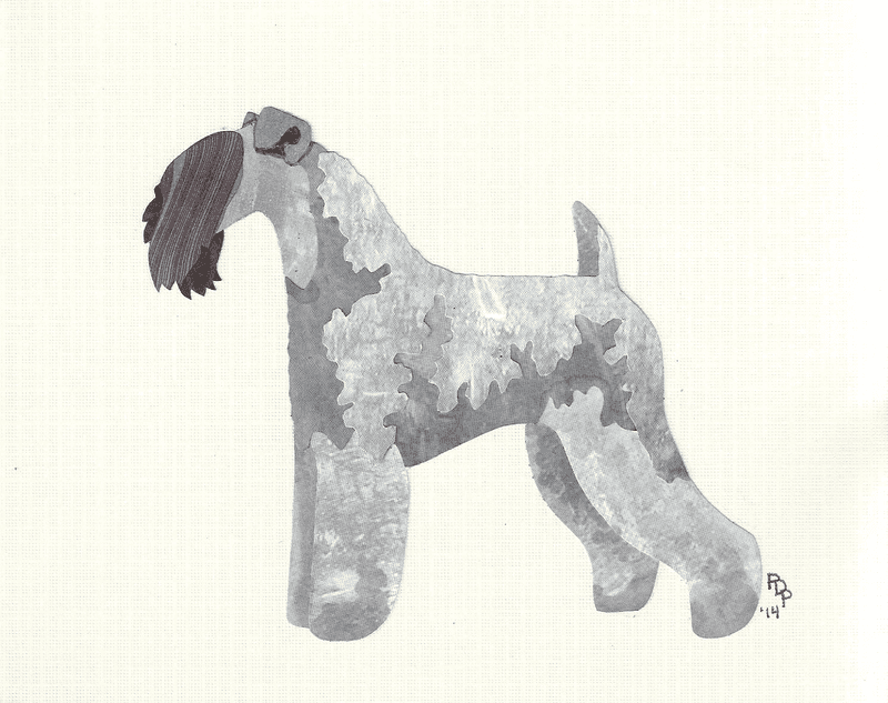Kerry Blue Terrier