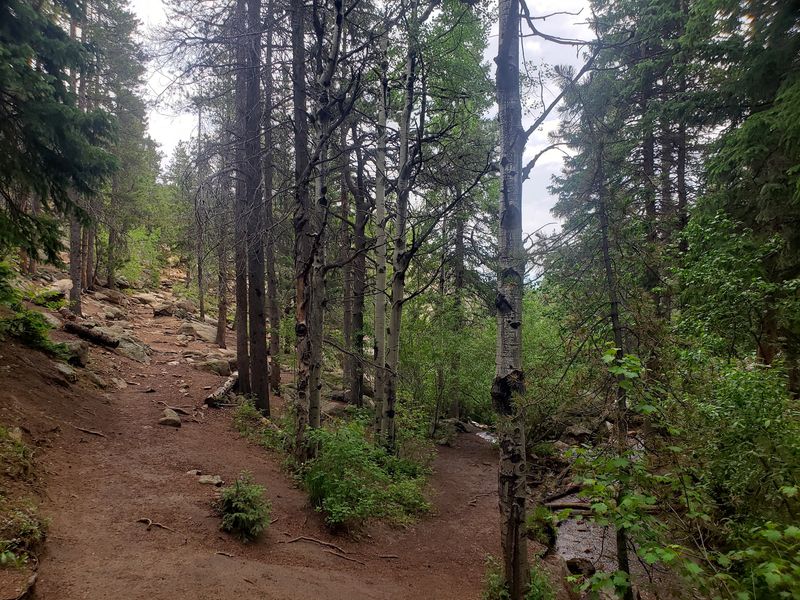 Maxwell Falls Trail