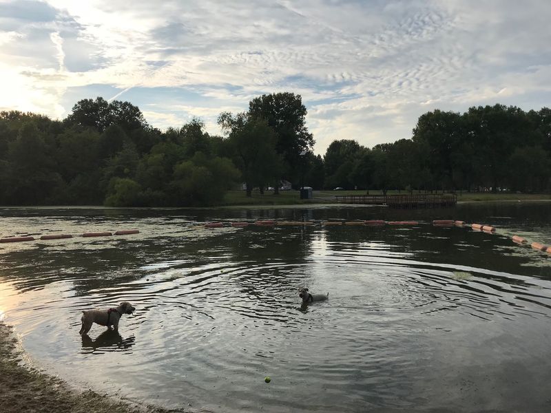 Cooperation Station Dog Beach at Mosquito Lake State Park - Cortland