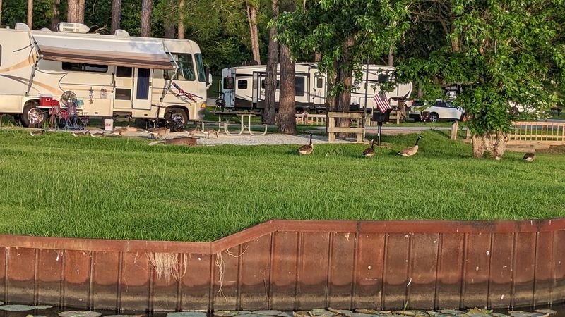 Camp Overnight At A Corps Campground