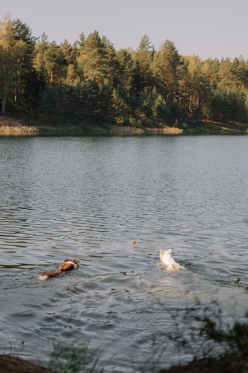 Brady's Run Lake