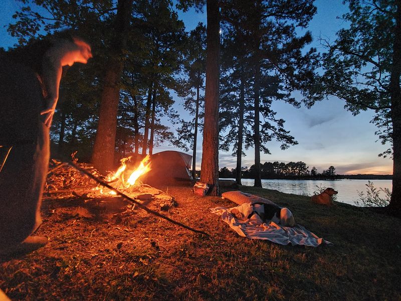 Lake Hartwell For More Room To Roam