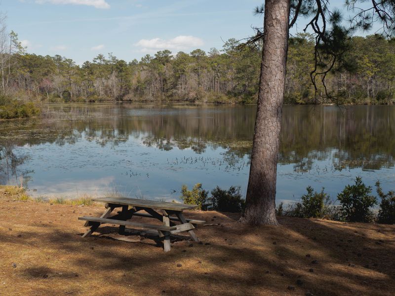 Lake Greenwood Keeps Things Laid-Back