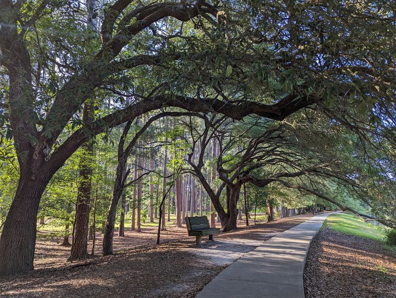 Sesquicentennial State Park, Columbia