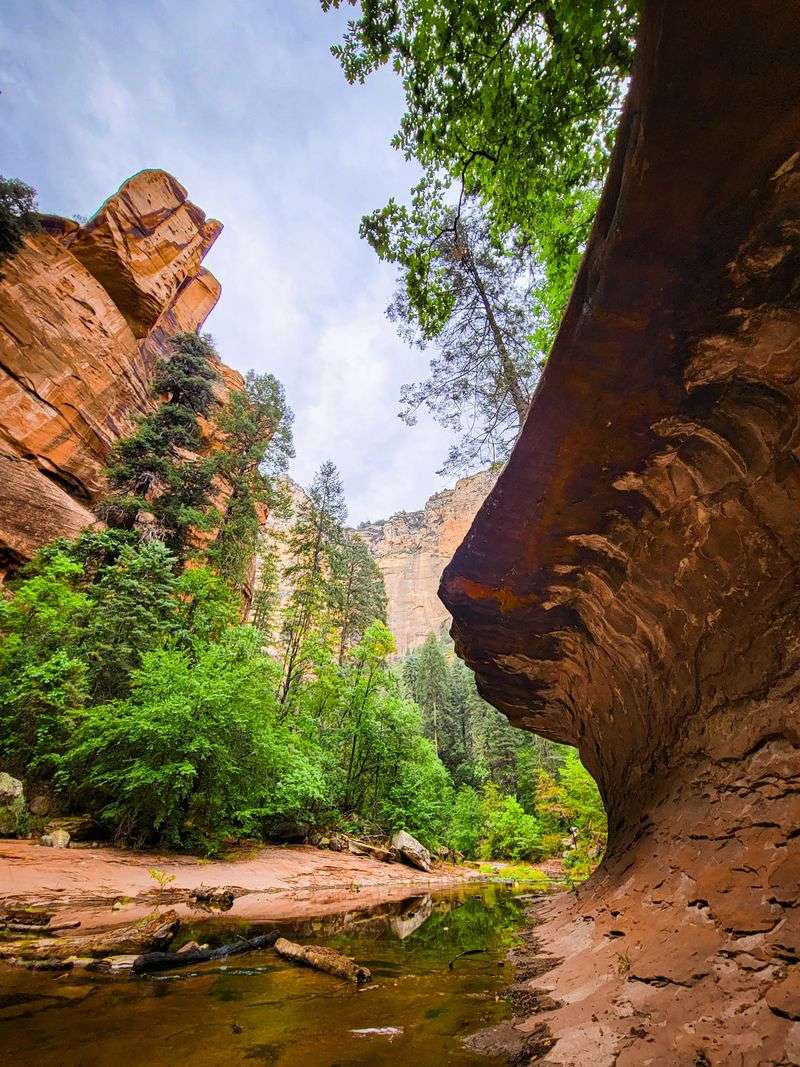 Oak Creek Canyon's Shady West Fork