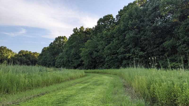 Rocky Fork Metro Park