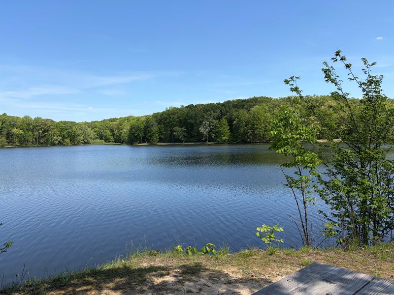 Lake Murphysboro State Park, Murphysboro