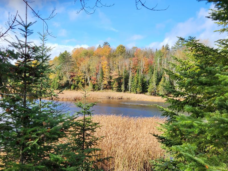 Saranac Lake