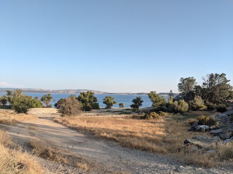 Folsom Lake Is a Good Choice for Dogs That Love the Water