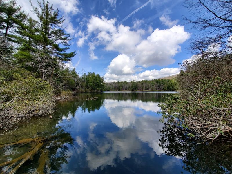 Lake Conasauga For A Forested Escape