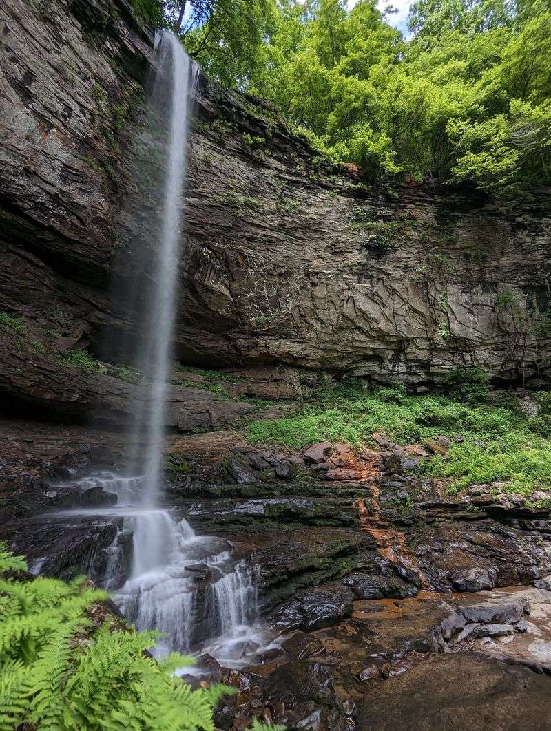 Rim Hiking at Cloudland Canyon State Park