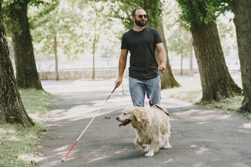 Pennsylvania's Assistance and Service Animal Integrity Act Sets Documentation Standards