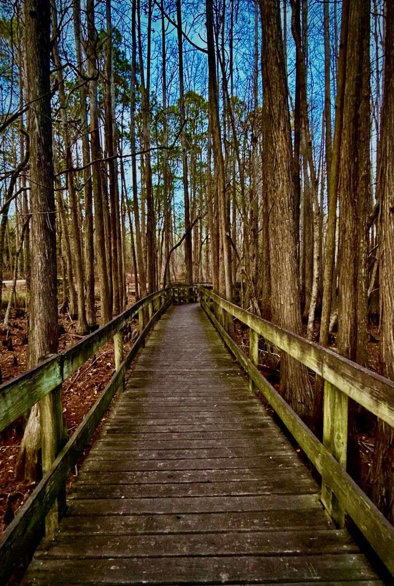 George L. Smith State Park, Twin City