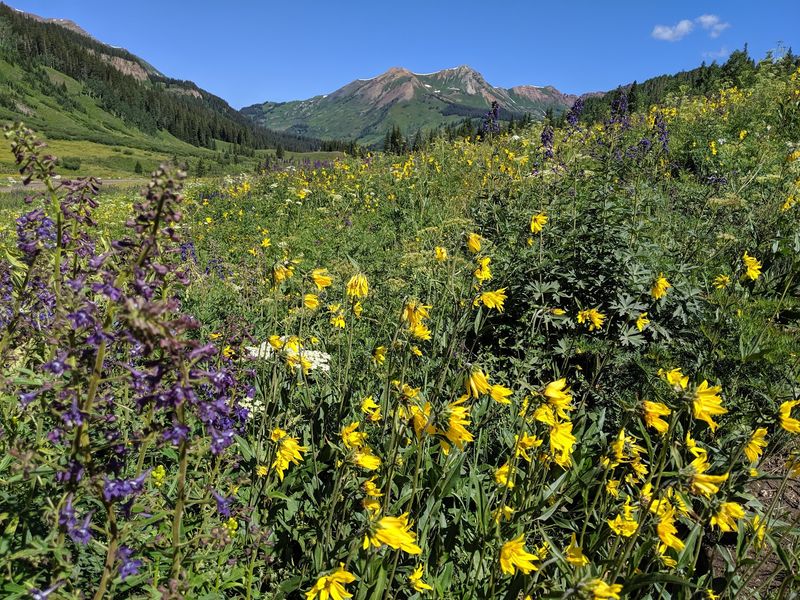 Crested Butte, Ohio Creek Road, and Boulder Lake