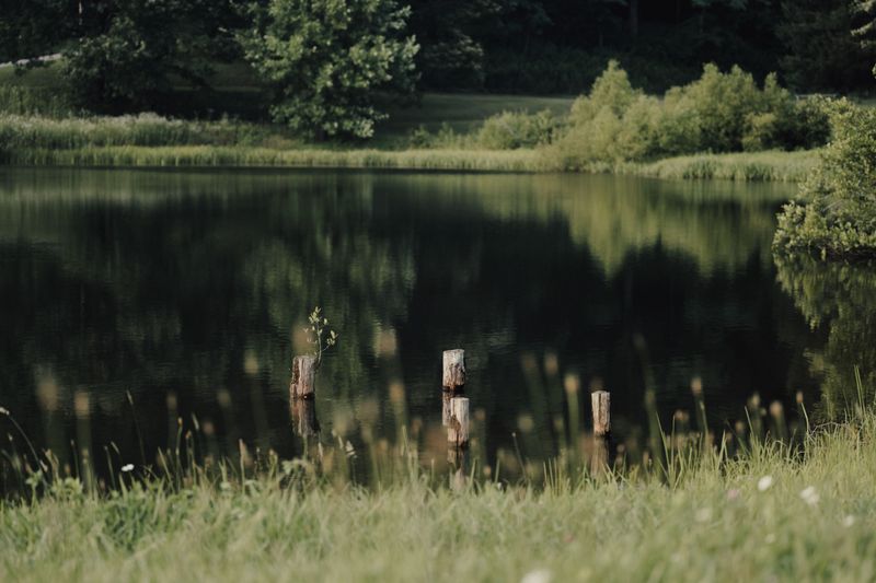Be Extra Careful Around Warm, Quiet Water