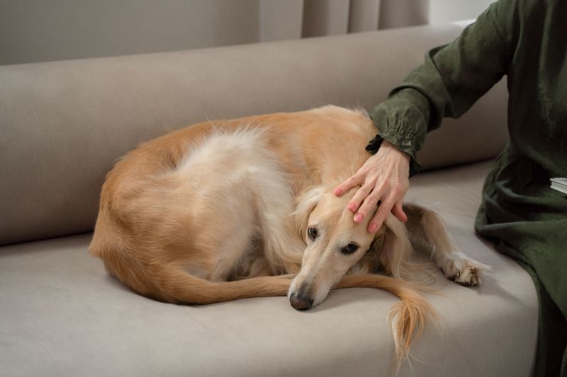 Watch For Changes After A Tick Bite