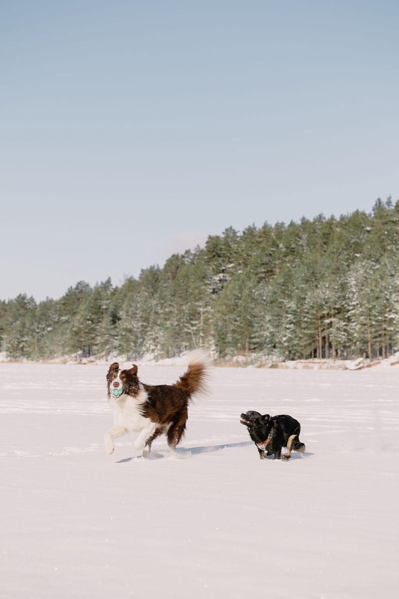 Recall Skills Matter Near Frozen Water