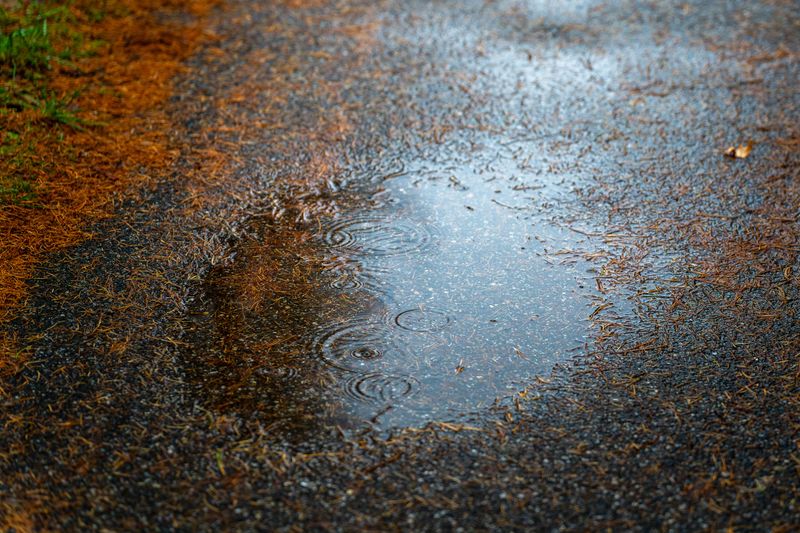 Mississippi's Warm Weather Can Speed Bacterial Growth