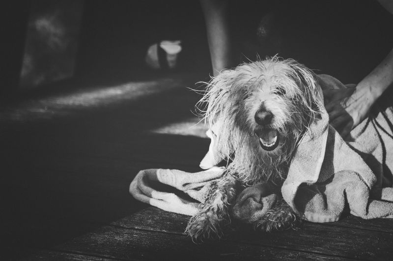 Keep A Towel Handy For Wet Adventures