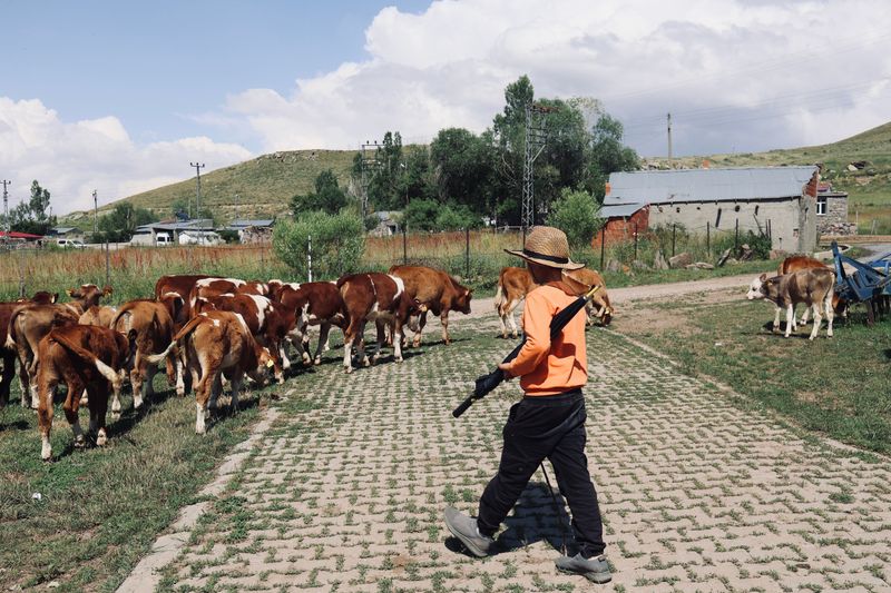 Farmers Have Legal Protection for Their Herds