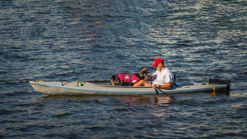 Do Not Tie Your Dog To A Moving Boat