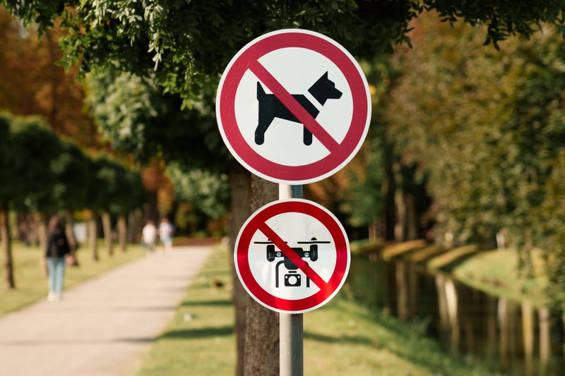 River access points are not always dog-friendly