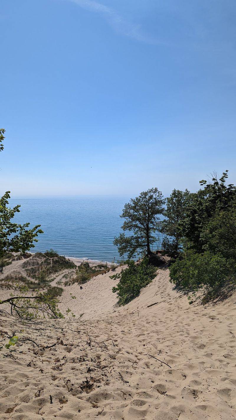 Grand Mere State Park Along Lake Michigan