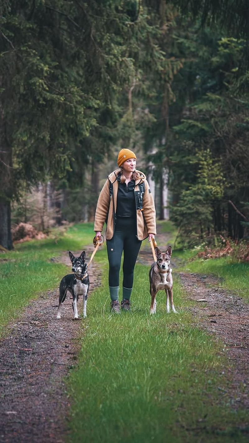 Dogs Cannot Simply Roam