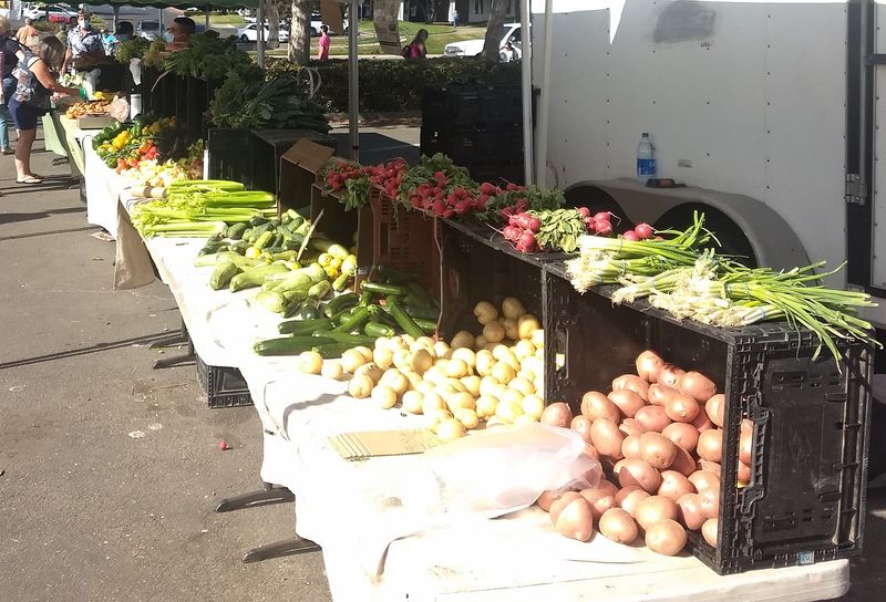 Sunrise Mall Farmers Market in Citrus Heights