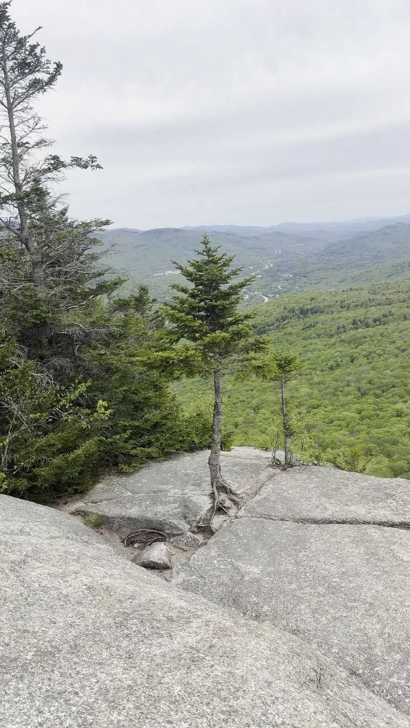 Mount Pemigewasset Trail: Indian Head's Rocky Perch
