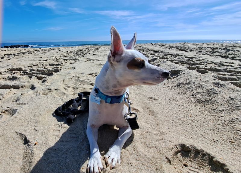 Spring Lake Beach