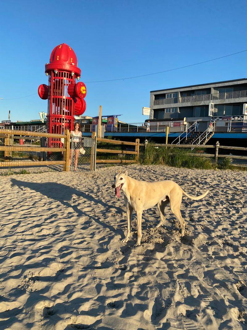 Wildwood Beach