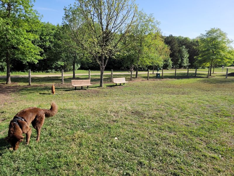 Round Rock: Brushy Creek Runs and Baseball Nights