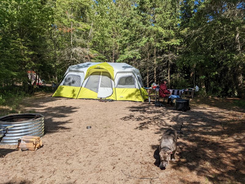 Wilderness State Park in Carp Lake: Miles of Shoreline to Sniff