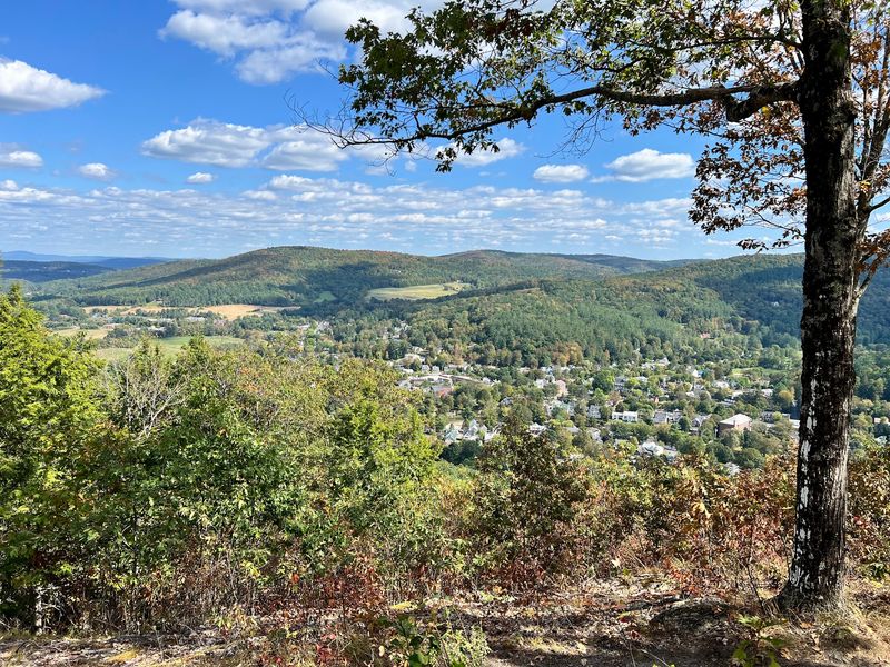 Drive Through the Quiet Town of Woodstock