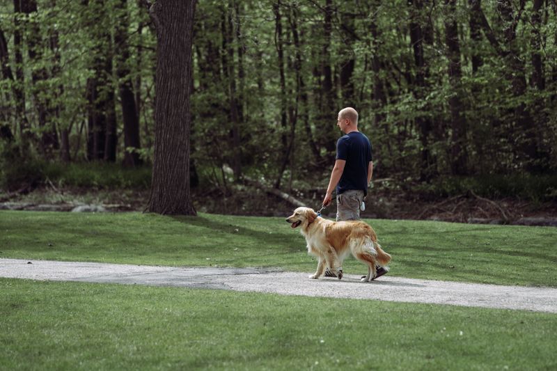 Choose Walking Areas Carefully
