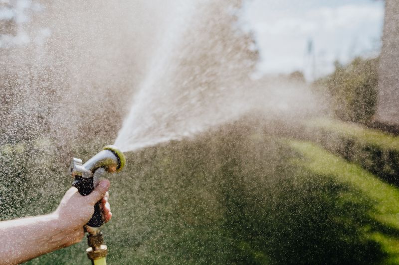 Use a Garden Hose