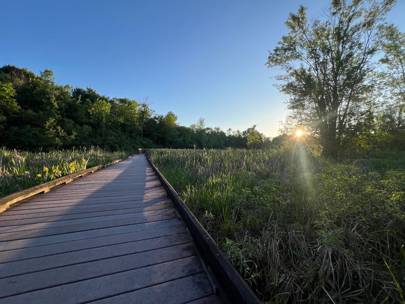 Take the Back Roads Around Middlebury