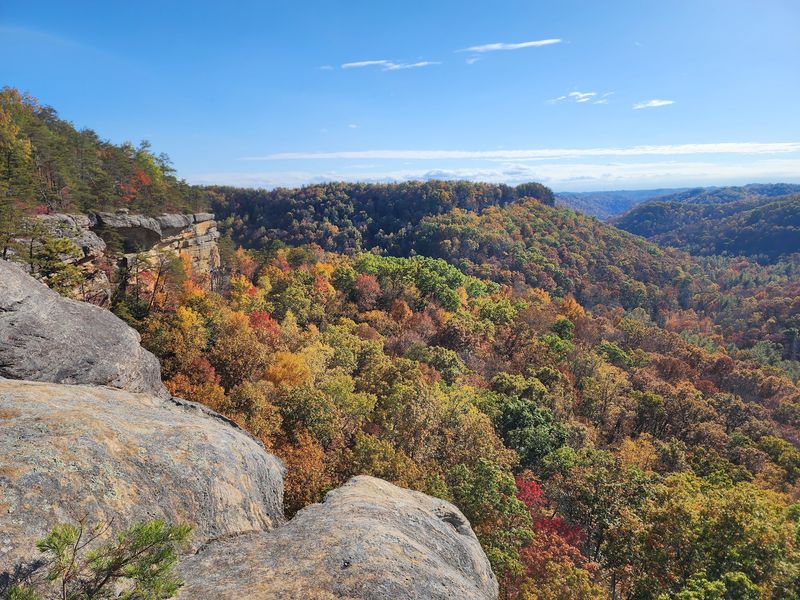 Daniel Boone National Forest